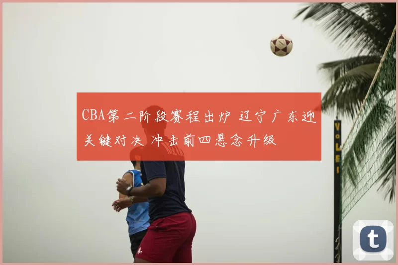 CBA第二阶段赛程出炉 辽宁广东迎关键对决 冲击前四悬念升级