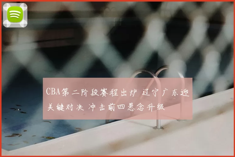 CBA第二阶段赛程出炉 辽宁广东迎关键对决 冲击前四悬念升级