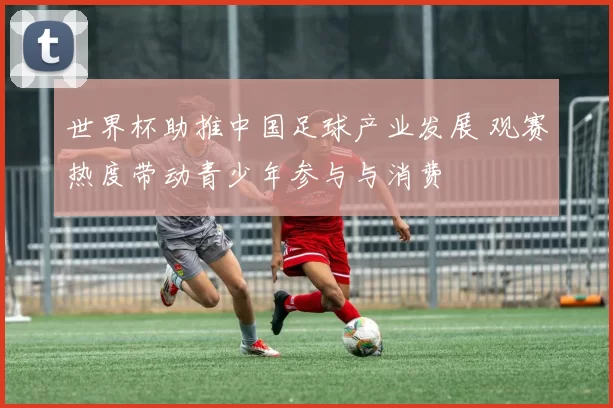 世界杯助推中国足球产业发展 观赛热度带动青少年参与与消费
