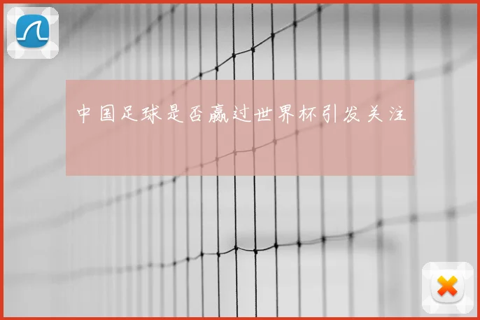 中国足球是否赢过世界杯引发关注
