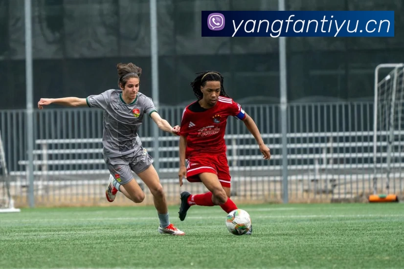 App Interface Preview